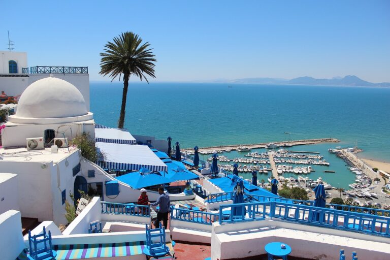 Tourisme Médical en Tunisie