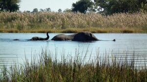 Quand partir en Afrique pour des visites inoubliables ?